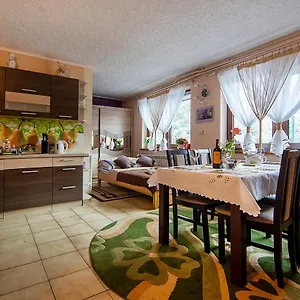 https://apartament-w-centrum-zakopane.zakopanehotels.org